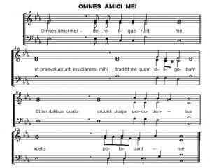 omnes-amici